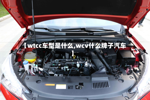 【wtcc车型是什么,wcv什么牌子汽车】-第2张图片