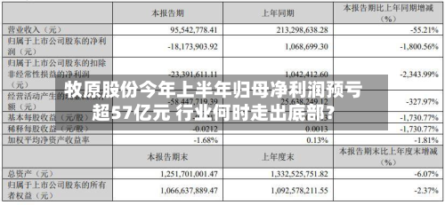 牧原股份今年上半年归母净利润预亏超57亿元 行业何时走出底部?-第2张图片