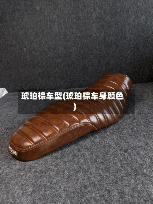 琥珀棕车型(琥珀棕车身颜色)