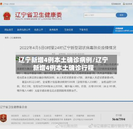辽宁新增4例本土确诊病例/辽宁新增4例本土确诊行程-第3张图片