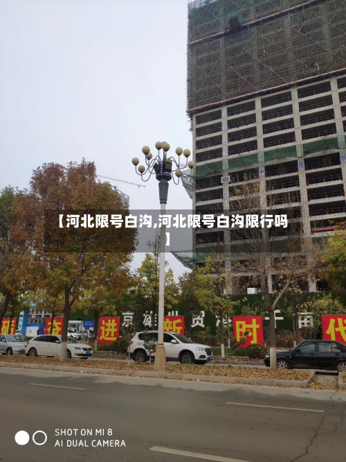 【河北限号白沟,河北限号白沟限行吗】-第2张图片