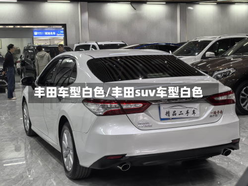 丰田车型白色/丰田suv车型白色-第3张图片