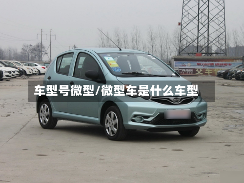车型号微型/微型车是什么车型