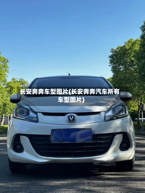 长安奔奔车型图片(长安奔奔汽车所有车型图片)