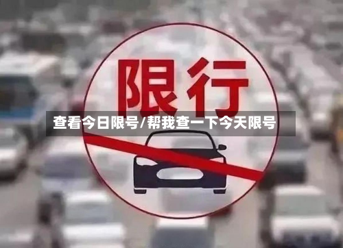 查看今日限号/帮我查一下今天限号