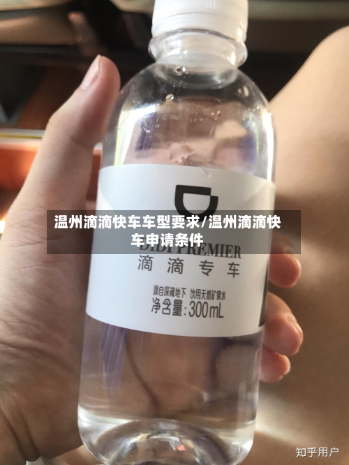 温州滴滴快车车型要求/温州滴滴快车申请条件-第3张图片