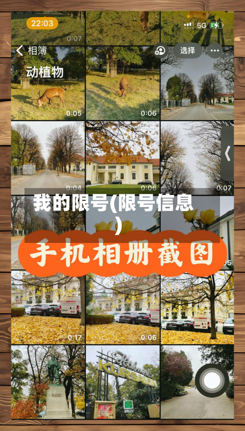 我的限号(限号信息)