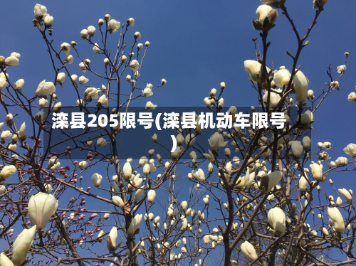 滦县205限号(滦县机动车限号)