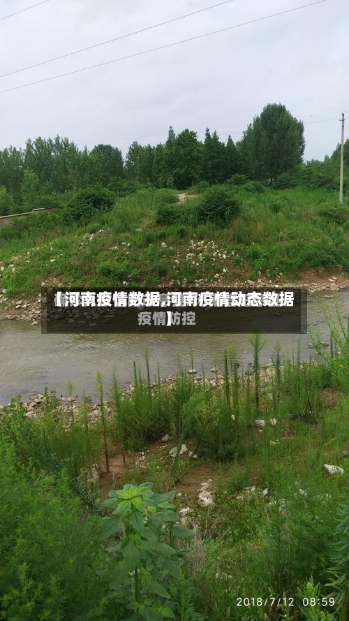 【河南疫情数据,河南疫情动态数据】