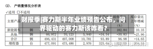 财报季|赛力斯半年业绩预告公布，问界驱动的赛力斯该咋看？-第2张图片