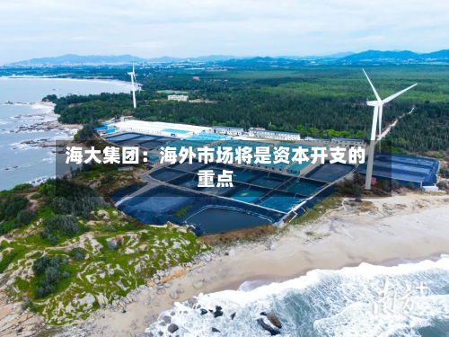 海大集团：海外市场将是资本开支的重点