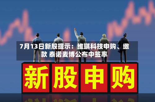 7月13日新股提示：维琪科技申购、缴款 泰诺麦博公布中签率-第2张图片