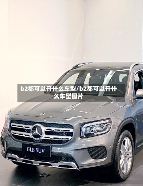 b2都可以开什么车型/b2都可以开什么车型图片-第3张图片