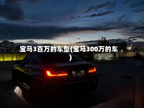 宝马3百万的车型(宝马300万的车)-第3张图片