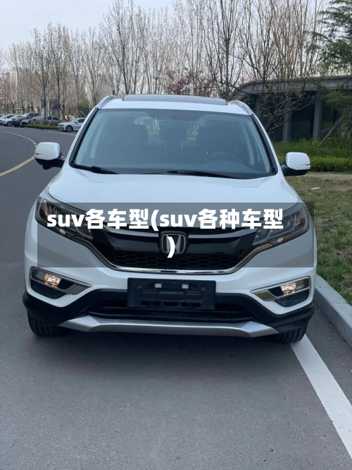 suv各车型(suv各种车型)-第2张图片