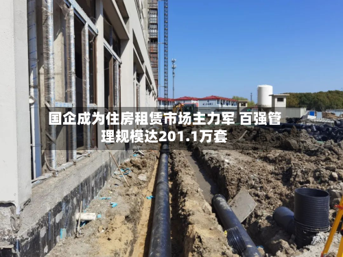 国企成为住房租赁市场主力军 百强管理规模达201.1万套-第3张图片