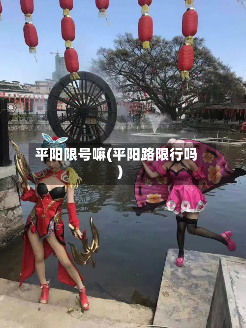 平阳限号嘛(平阳路限行吗)-第3张图片
