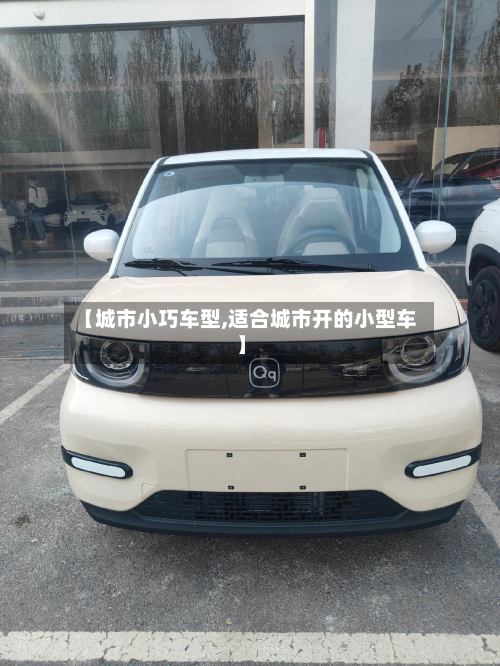 【城市小巧车型,适合城市开的小型车】
