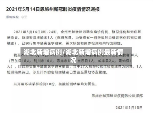 湖北新增病例/湖北新增病例最新情况