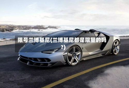 限号兰博基尼(兰博基尼都是限量的吗?)