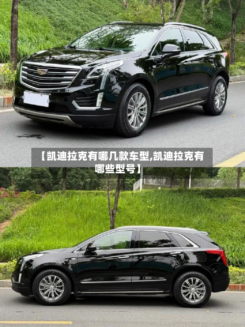 【凯迪拉克有哪几款车型,凯迪拉克有哪些型号】-第2张图片