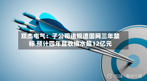 双杰电气:子公司违规遭国网三年禁标 预计四年营收缩水超12亿元-第3张图片
