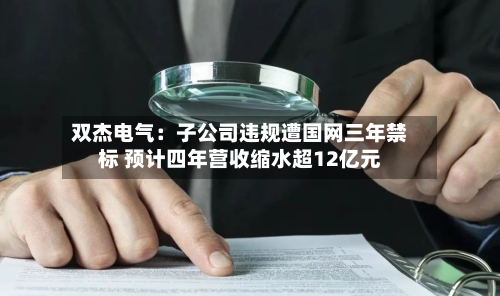 双杰电气:子公司违规遭国网三年禁标 预计四年营收缩水超12亿元-第2张图片