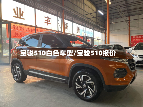 宝骏510白色车型/宝骏510报价-第2张图片