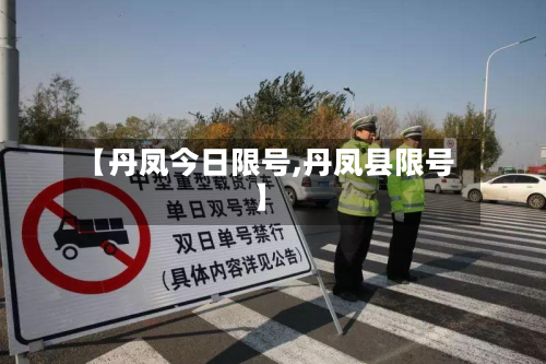 【丹凤今日限号,丹凤县限号】-第3张图片
