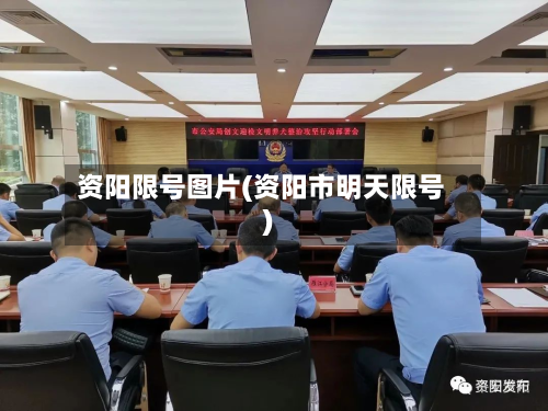 资阳限号图片(资阳市明天限号)-第2张图片