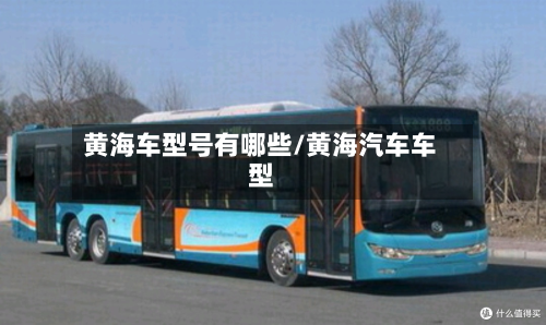 黄海车型号有哪些/黄海汽车车型-第3张图片
