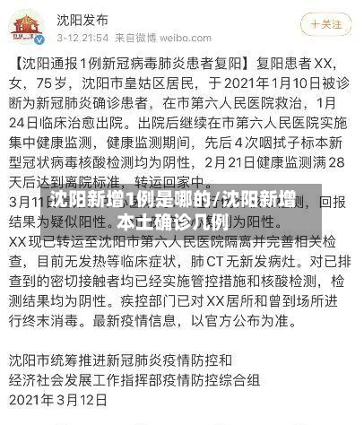 沈阳新增1例是哪的/沈阳新增本土确诊几例-第3张图片