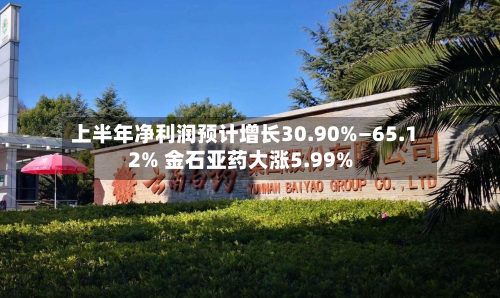 上半年净利润预计增长30.90%—65.12% 金石亚药大涨5.99%-第3张图片