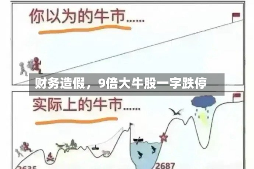 财务造假,9倍大牛股一字跌停