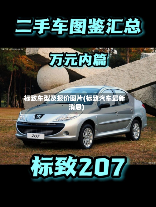 标致车型及报价图片(标致汽车最新消息)-第2张图片