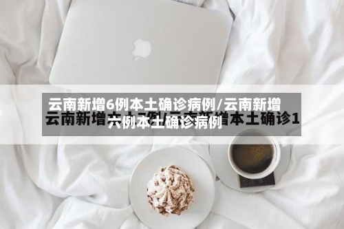 云南新增6例本土确诊病例/云南新增六例本土确诊病例