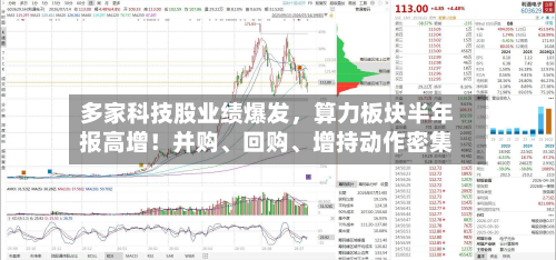 多家科技股业绩爆发，算力板块半年报高增！并购、回购、增持动作密集-第2张图片