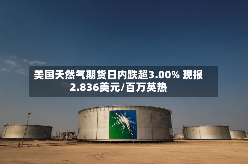 美国天然气期货日内跌超3.00% 现报2.836美元/百万英热-第2张图片
