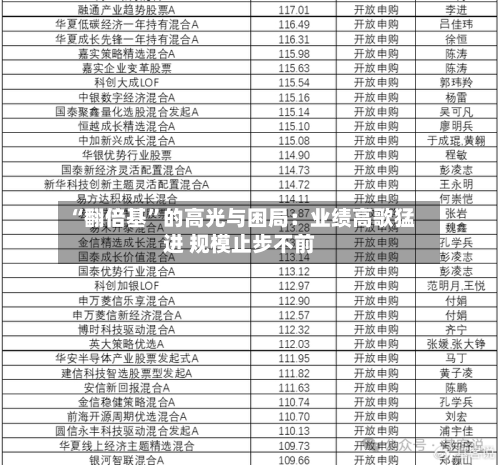 “翻倍基”的高光与困局：业绩高歌猛进 规模止步不前-第2张图片