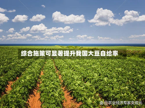综合施策可显著提升我国大豆自给率-第2张图片