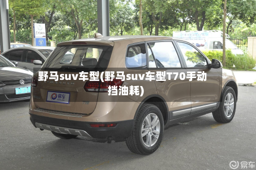 野马suv车型(野马suv车型T70手动挡油耗)