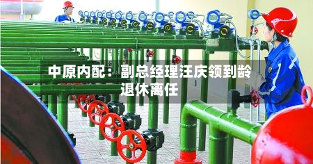中原内配：副总经理汪庆领到龄退休离任-第1张图片