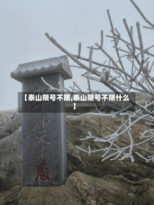 【泰山限号不限,泰山限号不限什么】-第3张图片