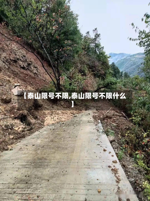 【泰山限号不限,泰山限号不限什么】