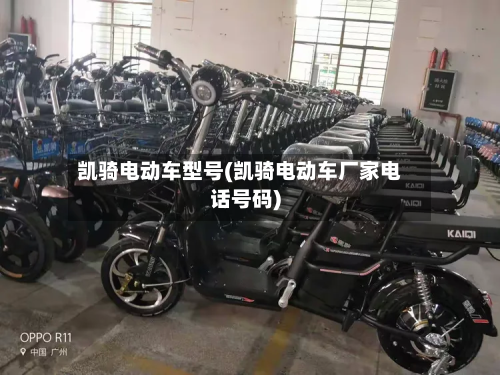 凯骑电动车型号(凯骑电动车厂家电话号码)