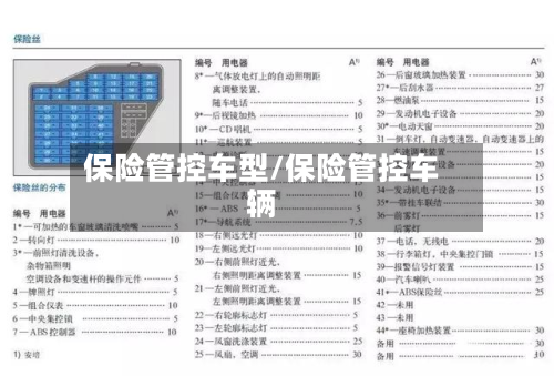 保险管控车型/保险管控车辆