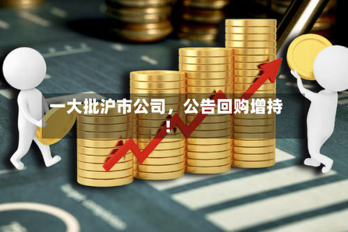 一大批沪市公司，公告回购增持！-第3张图片