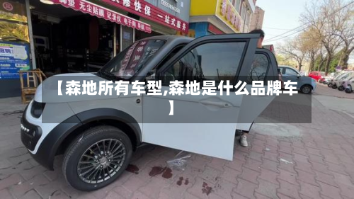 【森地所有车型,森地是什么品牌车】