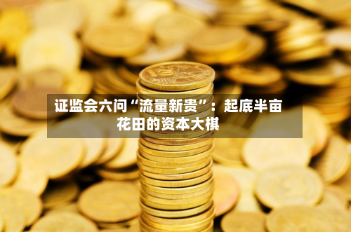 证监会六问“流量新贵”：起底半亩花田的资本大棋-第2张图片