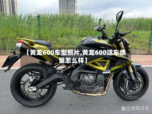 【黄龙600车型照片,黄龙600这车质量怎么样】-第2张图片